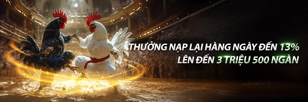 Sân đấu đá gà trực tuyến kịch tính tại Good88